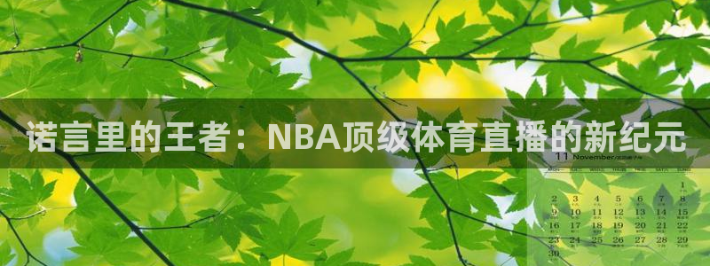 花蜘蛛直播：诺言里的王者：NBA顶级体育直播的新纪元