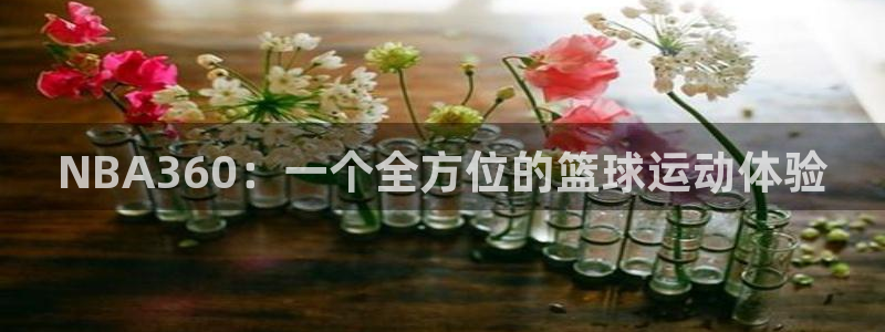 蜘蛛直播下载：NBA360：一个全方位的篮球运动体验