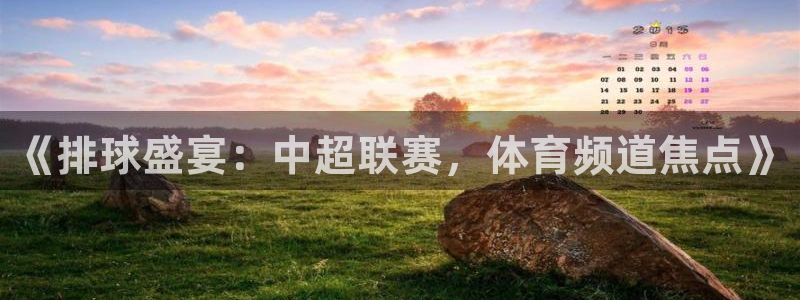 蜘蛛直播足球在线观看：《排球盛宴：中超联赛，体育频道焦点》