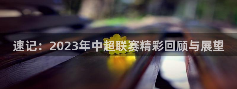 蜘蛛直播下载安卓版：速记：2023年中超联赛精彩回顾与展望
