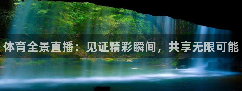 篮球蜘蛛直播：体育全景直播：见证精彩瞬间，共享无限可能