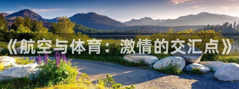 蜘蛛直播下载：《航空与体育：激情的交汇点》
