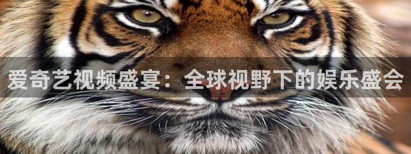 蜘蛛直播网球免费观看：爱奇艺视频盛宴：全球视野下的娱乐盛会