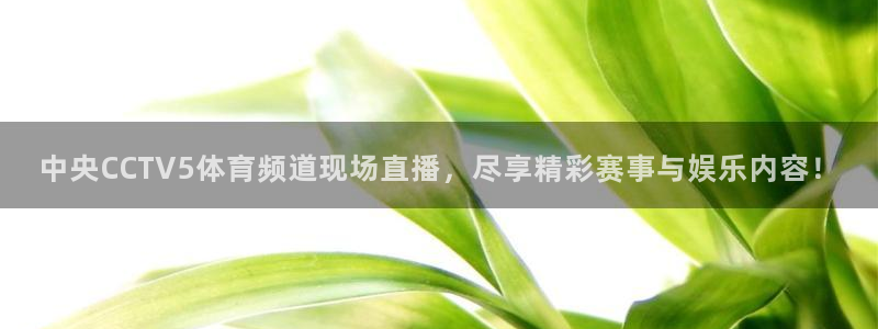 蜘蛛直播官网：中央CCTV5体育频道现场直播，尽享精彩赛事与娱乐内容！