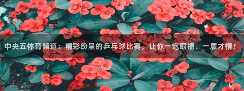 蜘蛛直播吧官网：中央五体育频道：精彩纷呈的乒乓球比赛，让你一饱眼福、一展才情！