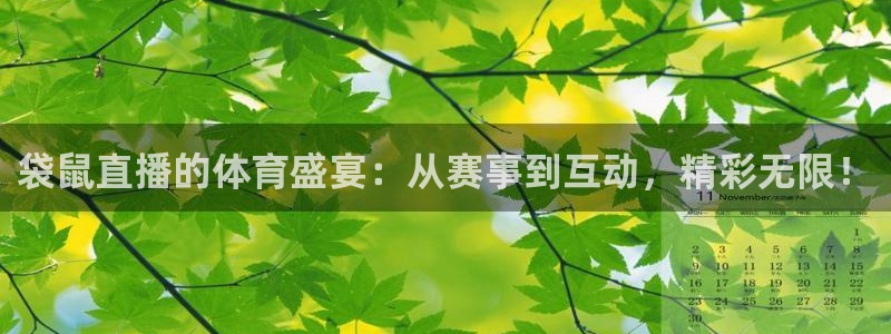 蜘蛛直播视频：袋鼠直播的体育盛宴：从赛事到互动，精彩无限！